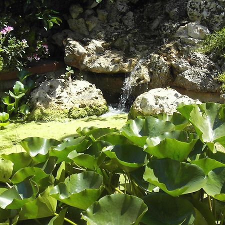 La Cascata Panzió Noci Kültér fotó